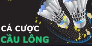 Hướng Dẫn Chơi Cá Cược Cầu Lông Hi88 Thắng Lớn Với Chiến Thuật Thông Minh