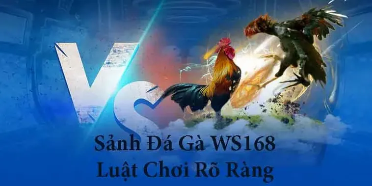 Mẹo Chơi Đá Gà WS168 Tại Hi88 Dễ Thắng Lớn Trong Vài Phút 2 Mẹo Chơi Đá Gà WS168 Tại Hi88 Dễ Thắng Lớn Trong Vài Phút