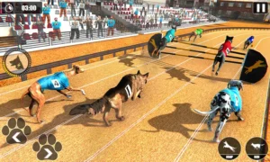 Hướng Dẫn Chơi Game Nhanh Đua Chó Tại Hi88 Thắng Lớn Nhanh Chóng